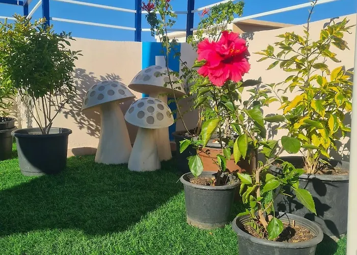 Apartment Sheikh Sheikh Sharm el-Sheikh