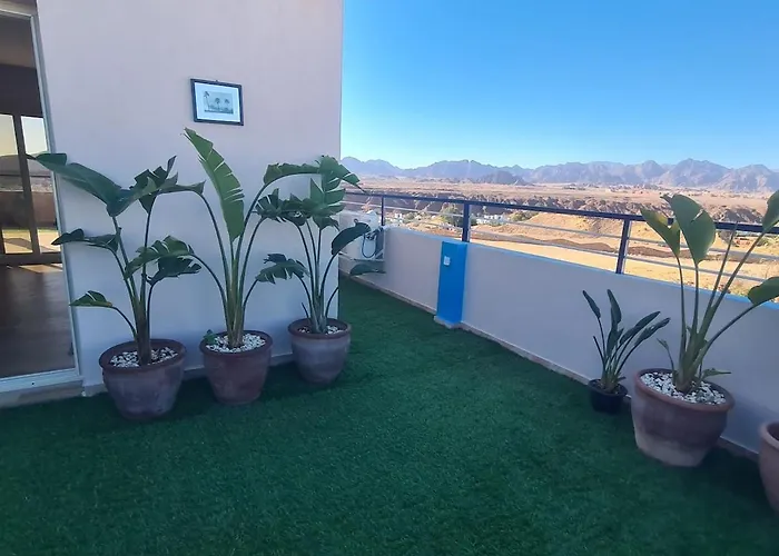 Sheikh Sheikh Apartment *